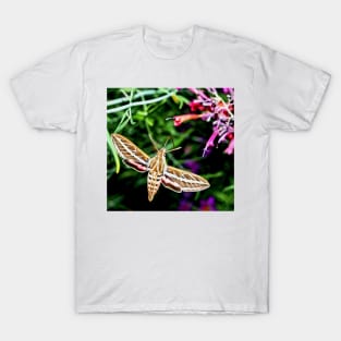 Hummingbird Moth T-Shirt